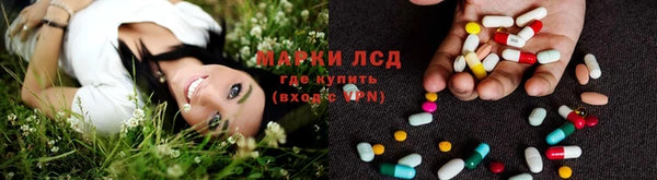 дживик Корсаков