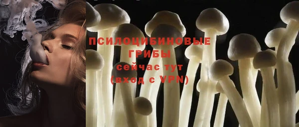 хмурый Переславль-Залесский